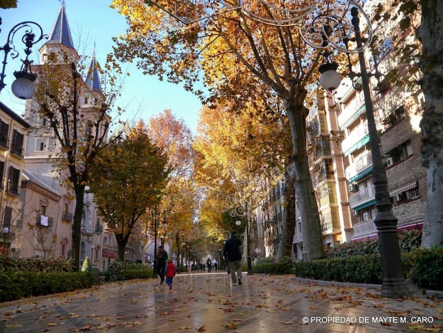 Center Wifi Parking Free Daire Granada Dış mekan fotoğraf